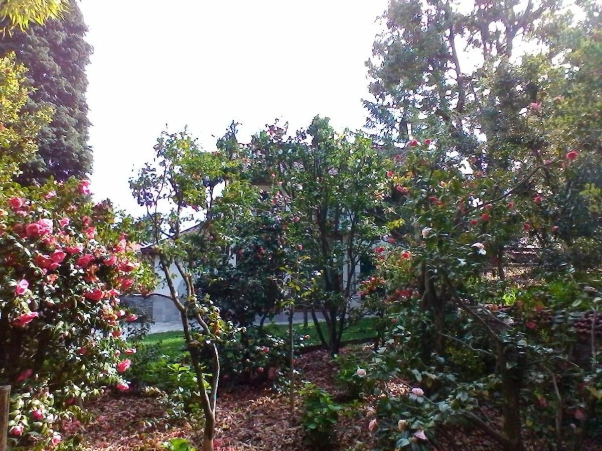 La Camelia D'Oro Lägenhet Oggebio Exteriör bild