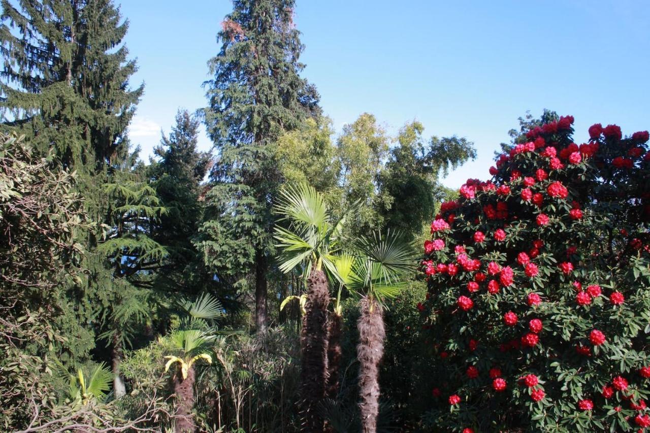 La Camelia D'Oro Lägenhet Oggebio Exteriör bild